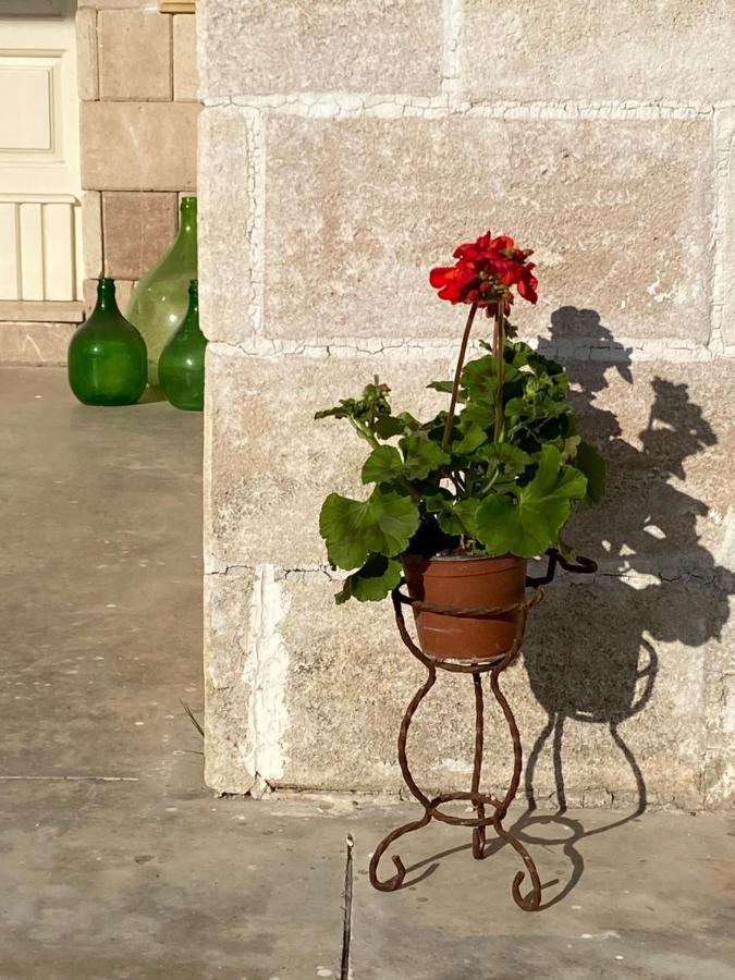 Villa Vita Oria  Bagian luar foto